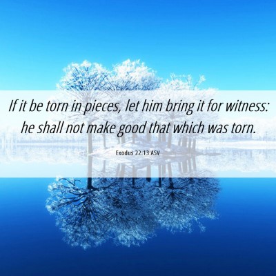 Picture 06 - Exodus 22:13 ASV - If it be torn in pieces, let him bring it for - Bible Verse Picture