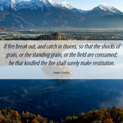 Picture 06 - Exodus 22:6 ASV - If fire break out, and catch in thorns, so that - Bible Verse Picture
