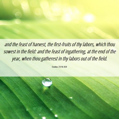 Picture 06 - Exodus 23:16 ASV - and the feast of harvest, the first-fruits of thy - Bible Verse Picture