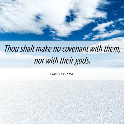 Picture 06 - Exodus 23:32 ASV - Thou shalt make no covenant with them, nor with - Bible Verse Picture