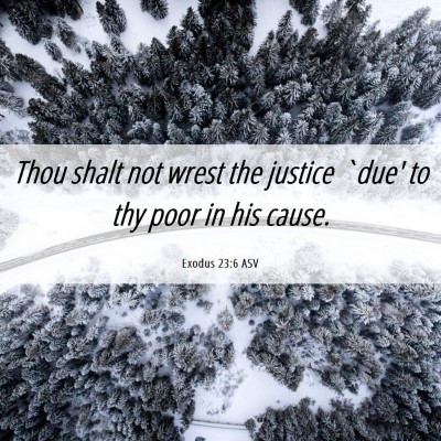 Picture 06 - Exodus 23:6 ASV - Thou shalt not wrest the justice `due' to thy - Bible Verse Picture