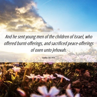 Picture 06 - Exodus 24:5 ASV - And he sent young men of the children of Israel, - Bible Verse Picture
