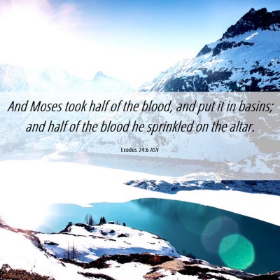 Picture 06 - Exodus 24:6 ASV - And Moses took half of the blood, and put it in - Bible Verse Picture