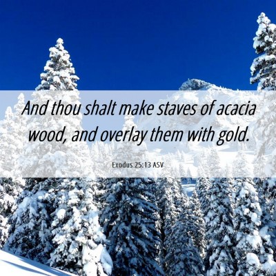 Picture 06 - Exodus 25:13 ASV - And thou shalt make staves of acacia wood, and - Bible Verse Picture