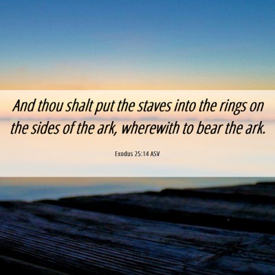 Picture 06 - Exodus 25:14 ASV - And thou shalt put the staves into the rings on - Bible Verse Picture
