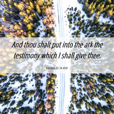 Picture 06 - Exodus 25:16 ASV - And thou shalt put into the ark the testimony - Bible Verse Picture