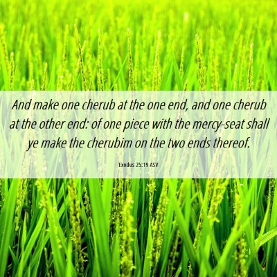 Picture 06 - Exodus 25:19 ASV - And make one cherub at the one end, and one - Bible Verse Picture