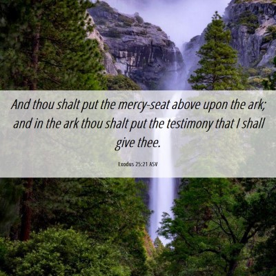 Picture 06 - Exodus 25:21 ASV - And thou shalt put the mercy-seat above upon the - Bible Verse Picture