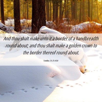 Picture 06 - Exodus 25:25 ASV - And thou shalt make unto it a border of a - Bible Verse Picture