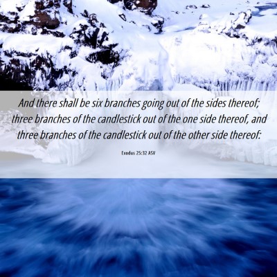Picture 06 - Exodus 25:32 ASV - And there shall be six branches going out of the - Bible Verse Picture