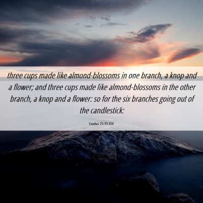 Picture 06 - Exodus 25:33 ASV - three cups made like almond-blossoms in one - Bible Verse Picture