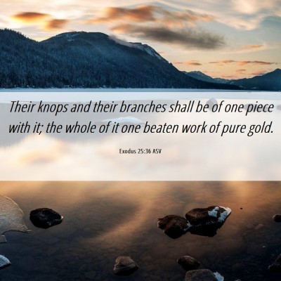 Picture 06 - Exodus 25:36 ASV - Their knops and their branches shall be of one - Bible Verse Picture