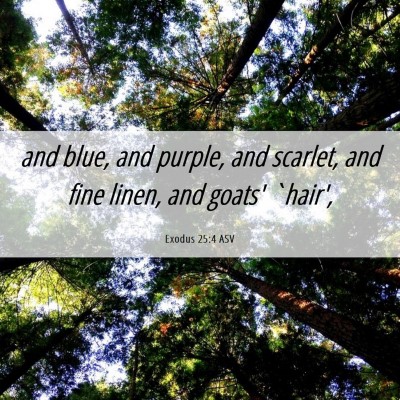Picture 06 - Exodus 25:4 ASV - and blue, and purple, and scarlet, and fine - Bible Verse Picture