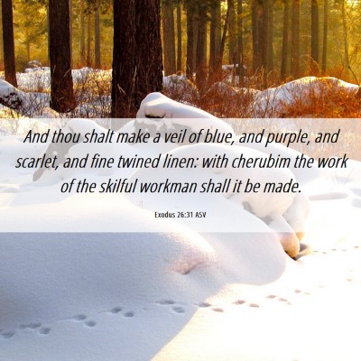 Picture 06 - Exodus 26:31 ASV - And thou shalt make a veil of blue, and purple, - Bible Verse Picture