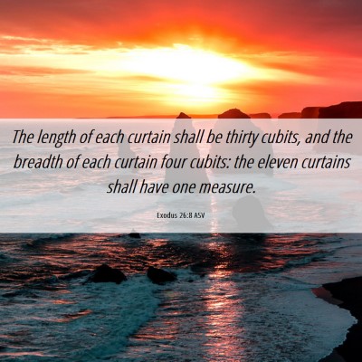 Picture 06 - Exodus 26:8 ASV - The length of each curtain shall be thirty - Bible Verse Picture