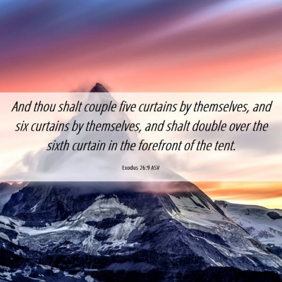 Picture 06 - Exodus 26:9 ASV - And thou shalt couple five curtains by - Bible Verse Picture