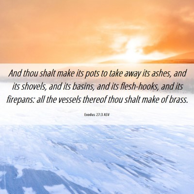 Picture 06 - Exodus 27:3 ASV - And thou shalt make its pots to take away its - Bible Verse Picture