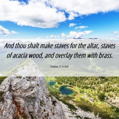 Picture 06 - Exodus 27:6 ASV - And thou shalt make staves for the altar, staves - Bible Verse Picture