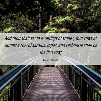 Picture 06 - Exodus 28:17 ASV - And thou shalt set in it settings of stones, four - Bible Verse Picture