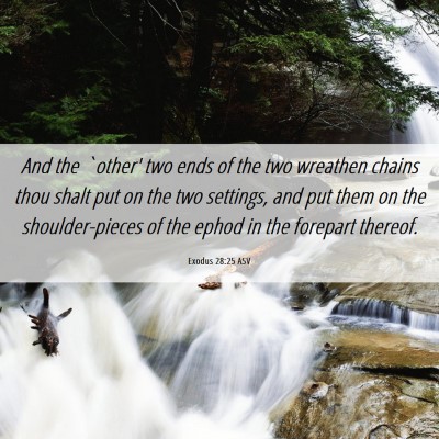 Picture 06 - Exodus 28:25 ASV - And the `other' two ends of the two wreathen - Bible Verse Picture