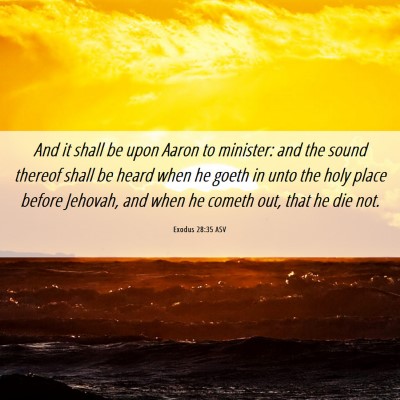 Picture 06 - Exodus 28:35 ASV - And it shall be upon Aaron to minister: and the - Bible Verse Picture