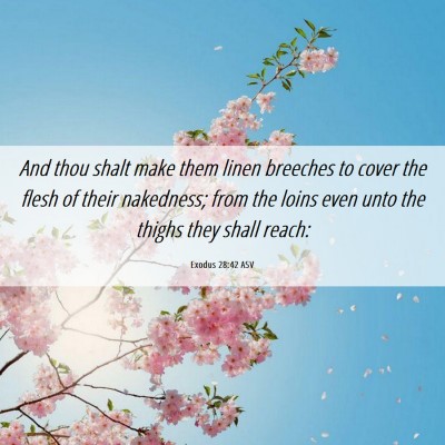 Picture 06 - Exodus 28:42 ASV - And thou shalt make them linen breeches to cover - Bible Verse Picture