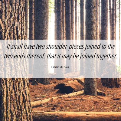 Picture 06 - Exodus 28:7 ASV - It shall have two shoulder-pieces joined to the - Bible Verse Picture
