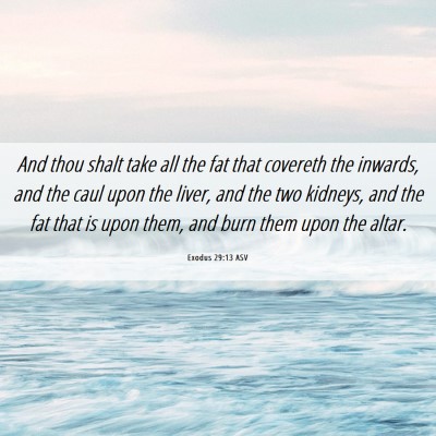 Picture 06 - Exodus 29:13 ASV - And thou shalt take all the fat that covereth the - Bible Verse Picture
