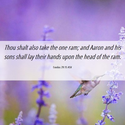 Picture 06 - Exodus 29:15 ASV - Thou shalt also take the one ram; and Aaron and - Bible Verse Picture