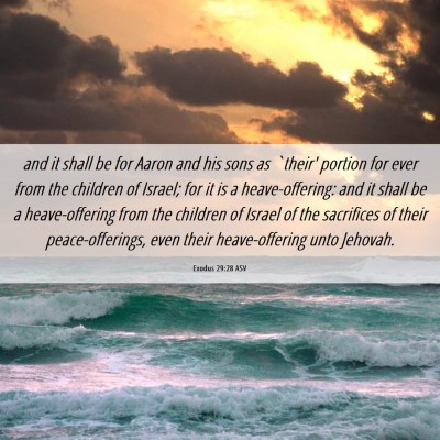 Picture 06 - Exodus 29:28 ASV - and it shall be for Aaron and his sons as `their' - Bible Verse Picture