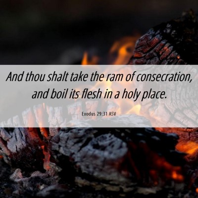 Picture 06 - Exodus 29:31 ASV - And thou shalt take the ram of consecration, and - Bible Verse Picture