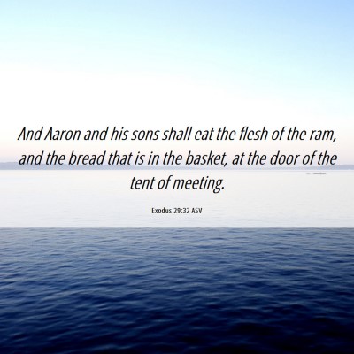 Picture 06 - Exodus 29:32 ASV - And Aaron and his sons shall eat the flesh of the - Bible Verse Picture