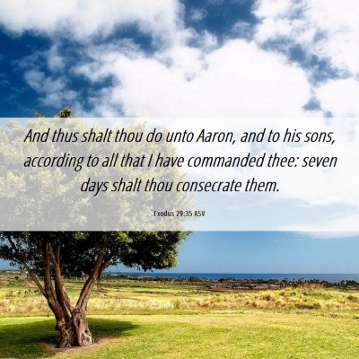 Picture 06 - Exodus 29:35 ASV - And thus shalt thou do unto Aaron, and to his - Bible Verse Picture