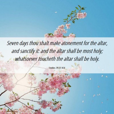 Picture 06 - Exodus 29:37 ASV - Seven days thou shalt make atonement for the - Bible Verse Picture