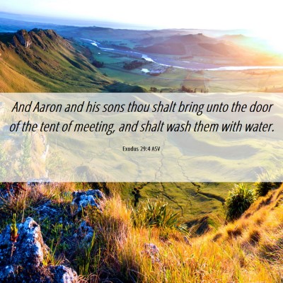Picture 06 - Exodus 29:4 ASV - And Aaron and his sons thou shalt bring unto the - Bible Verse Picture