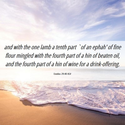 Picture 06 - Exodus 29:40 ASV - and with the one lamb a tenth part `of an ephah' - Bible Verse Picture