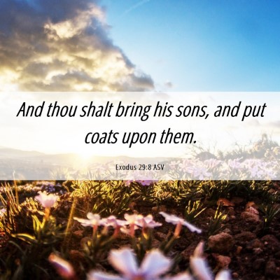 Picture 06 - Exodus 29:8 ASV - And thou shalt bring his sons, and put coats upon - Bible Verse Picture