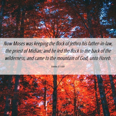 Picture 06 - Exodus 3:1 ASV - Now Moses was keeping the flock of Jethro his - Bible Verse Picture