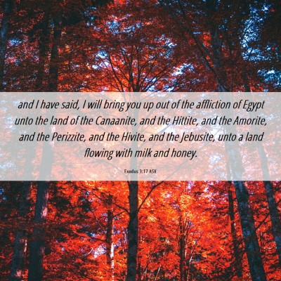 Picture 06 - Exodus 3:17 ASV - and I have said, I will bring you up out of the - Bible Verse Picture