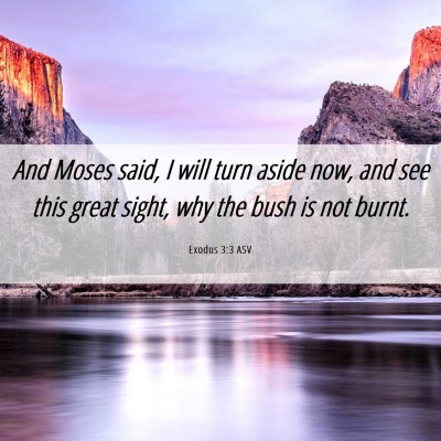 Picture 06 - Exodus 3:3 ASV - And Moses said, I will turn aside now, and see - Bible Verse Picture