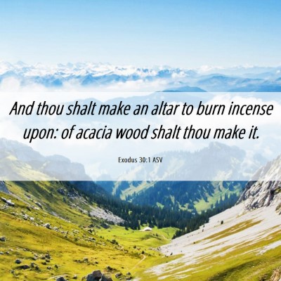 Picture 06 - Exodus 30:1 ASV - And thou shalt make an altar to burn incense - Bible Verse Picture
