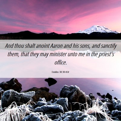 Picture 06 - Exodus 30:30 ASV - And thou shalt anoint Aaron and his sons, and - Bible Verse Picture