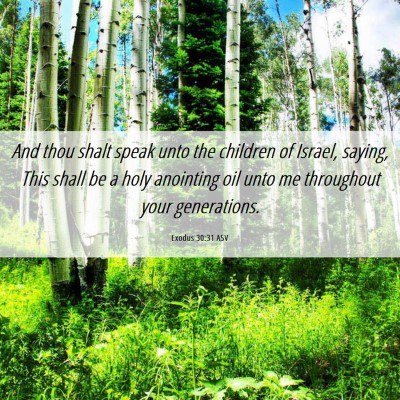 Picture 06 - Exodus 30:31 ASV - And thou shalt speak unto the children of Israel, - Bible Verse Picture
