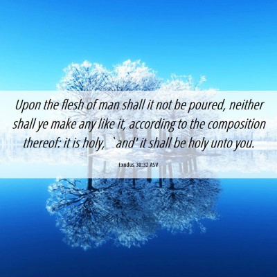 Picture 06 - Exodus 30:32 ASV - Upon the flesh of man shall it not be poured, - Bible Verse Picture