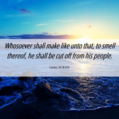 Picture 06 - Exodus 30:38 ASV - Whosoever shall make like unto that, to smell - Bible Verse Picture