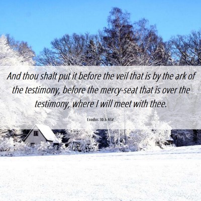 Picture 06 - Exodus 30:6 ASV - And thou shalt put it before the veil that is by - Bible Verse Picture