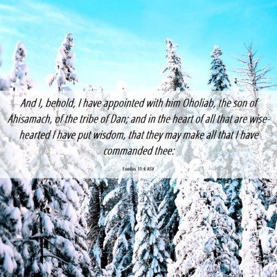 Picture 06 - Exodus 31:6 ASV - And I, behold, I have appointed with him Oholiab, - Bible Verse Picture