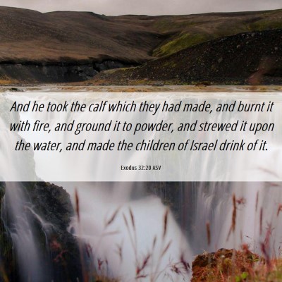 Picture 06 - Exodus 32:20 ASV - And he took the calf which they had made, and - Bible Verse Picture