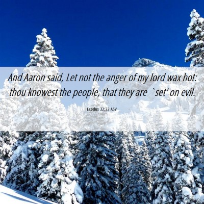 Picture 06 - Exodus 32:22 ASV - And Aaron said, Let not the anger of my lord wax - Bible Verse Picture