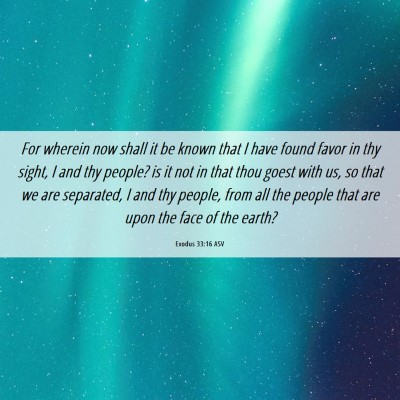 Picture 06 - Exodus 33:16 ASV - For wherein now shall it be known that I have - Bible Verse Picture
